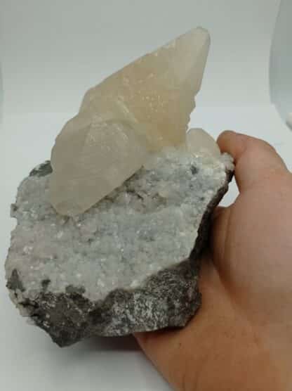 Calcite maclée, Trèves, Gard.