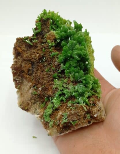 cristaux de pyromorphite verte de la mine des Farges en Corrèze