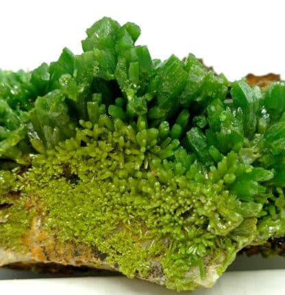 cristaux de pyromorphite verte de la mine des Farges en Corrèze