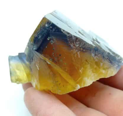 Fluorine (Fluorite), Filon jaune, Valzergues, Aveyron.