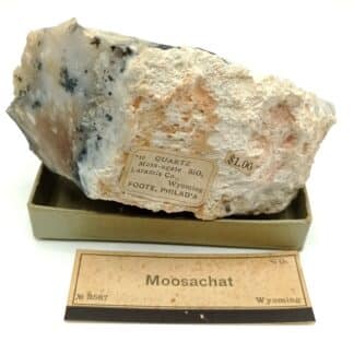 Moosachat (Agate mousse), Laramie, Wyoming, USA (États-Unis).