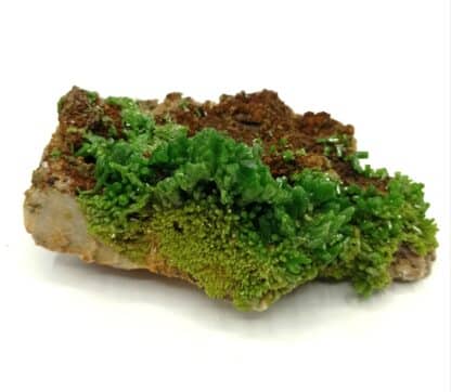 cristaux de pyromorphite verte de la mine des Farges en Corrèze