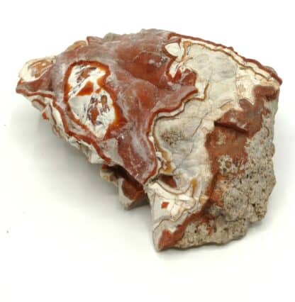 Carneolrinde (Cornaline) auf weissen Achat (Agate), Rochlitz, Saxe, Allemagne.