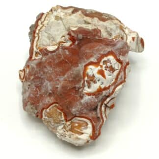 Carneolrinde (Cornaline) auf weissen Achat (Agate), Rochlitz, Saxe, Allemagne.