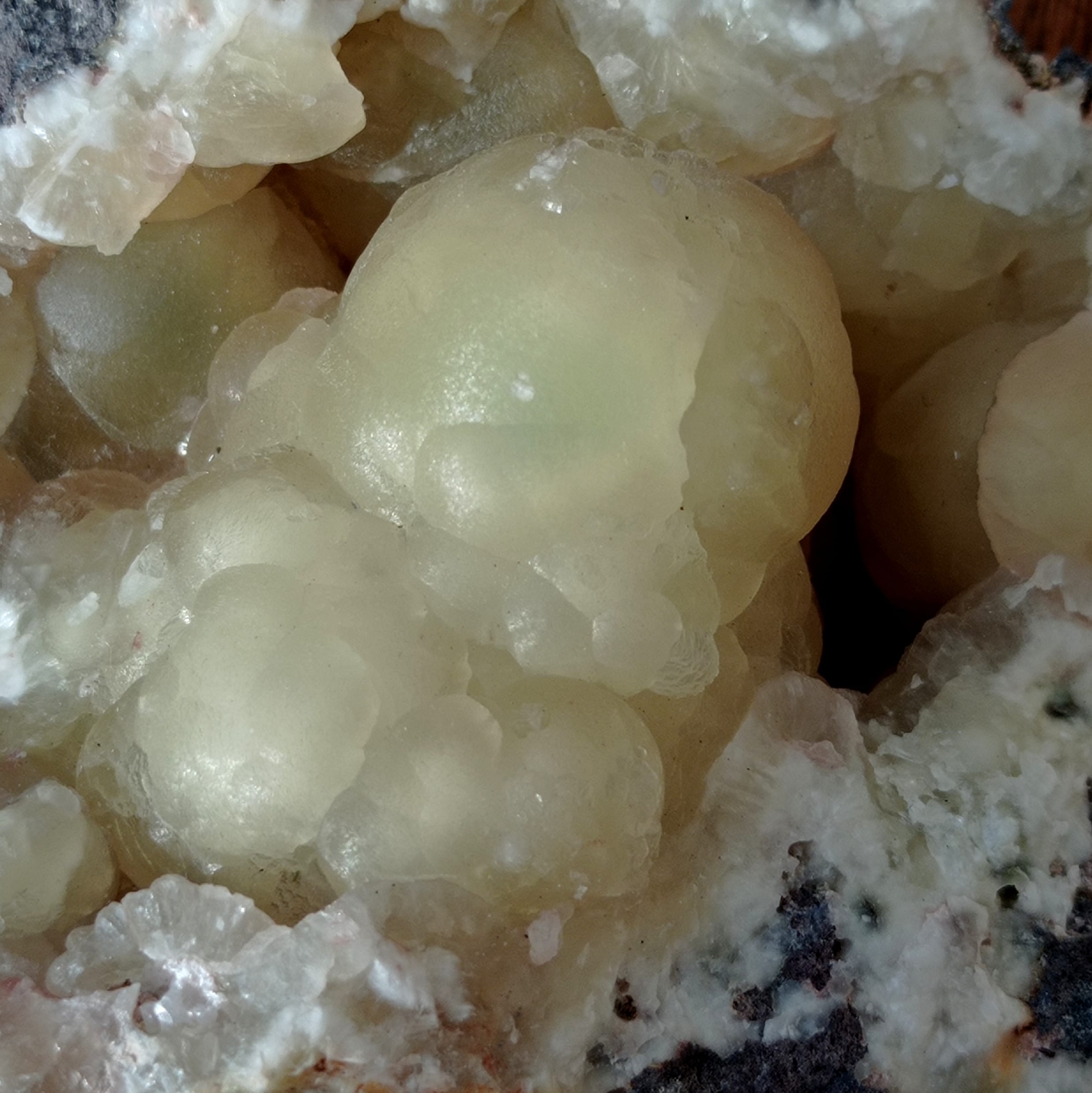 Prehnite, Boylestone quarry, Ecosse, Royaume-Uni.