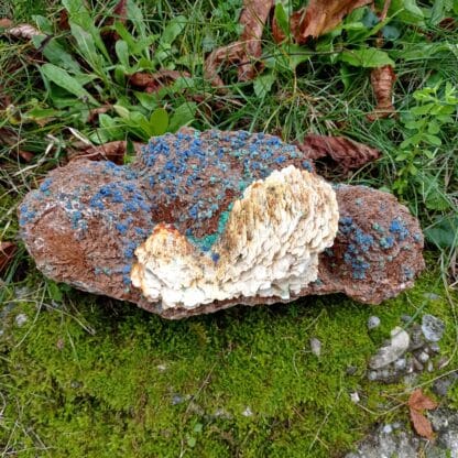 Tétraédrite pseudo en Azurite, et Baryte, Usclas du Bosc, Loiras, Hérault.