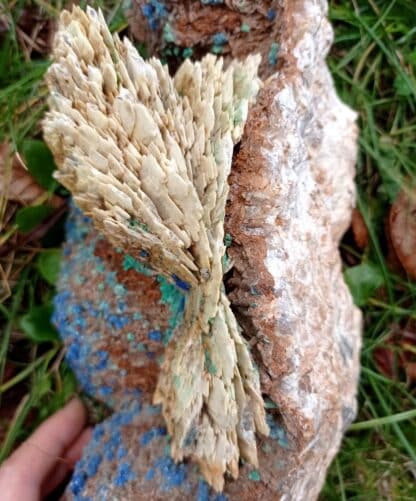 Tétraédrite pseudo en Azurite, et Baryte, Usclas du Bosc, Loiras, Hérault.