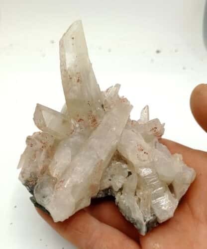 Quartz, Carrière de Bierghes, Belgique.