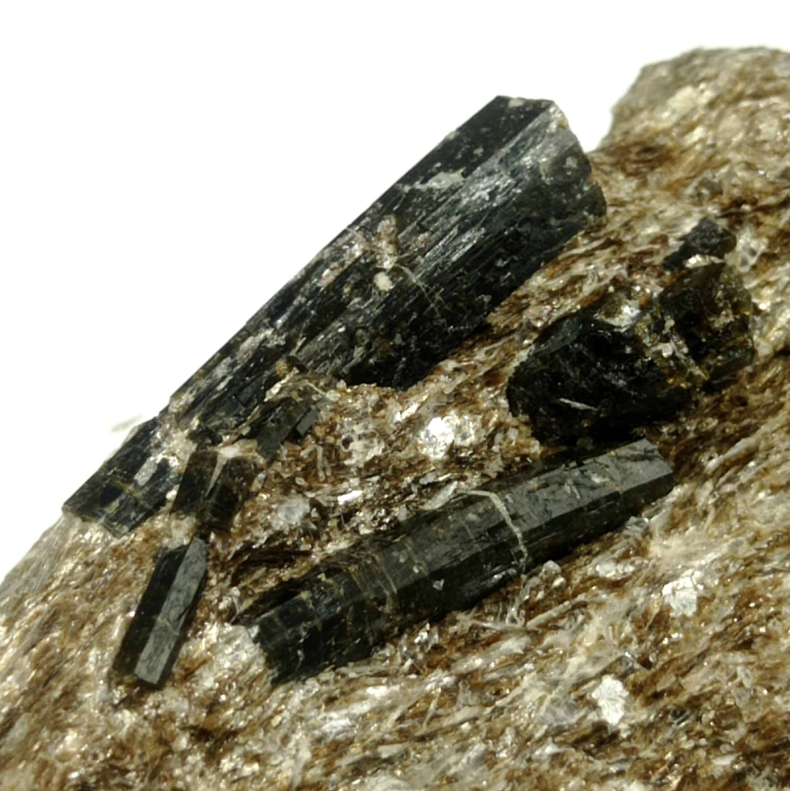 Dravite (Tourmaline), Val d’Ossola, Italie.