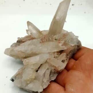 Quartz, Carrière de Bierghes, Belgique.