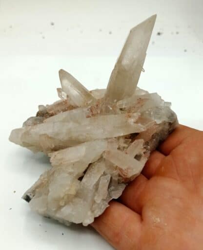 Quartz, Carrière de Bierghes, Belgique.