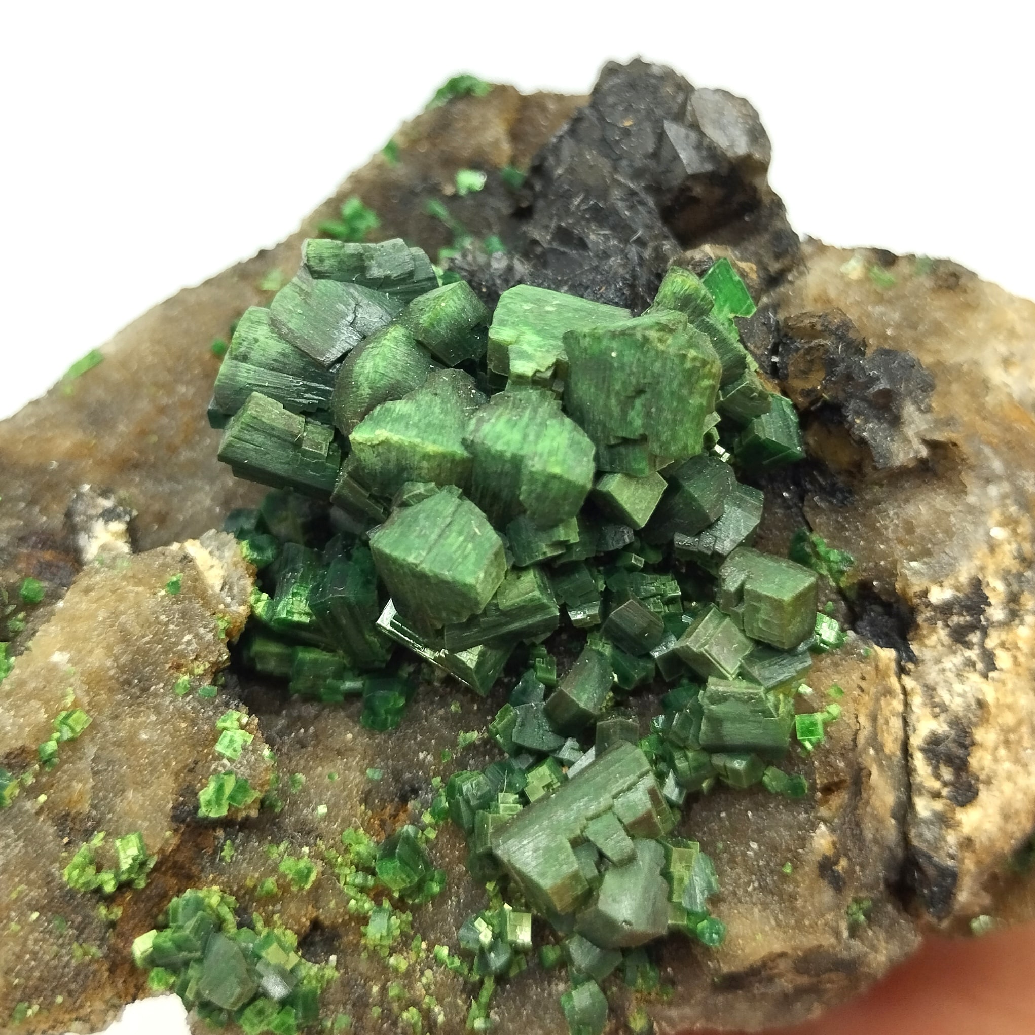 Torbernite, Margabal, Entraygues-sur-Truyère, Aveyron.