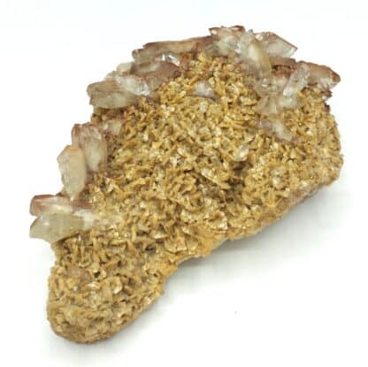 Barytine (Baryte) sur Dolomite, Frizington, Cumberland, Royaume-Uni.