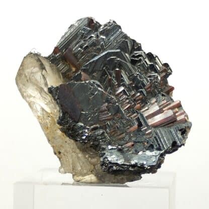 Rutile et Hématite, Val Cavradi, Uri, Suisse.