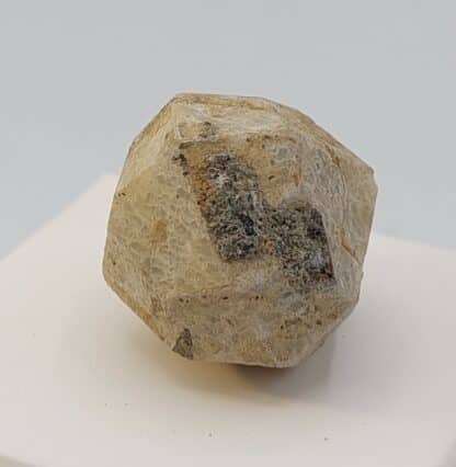 Leucite, Roccamonfina, Caserte, Campanie, Italie.