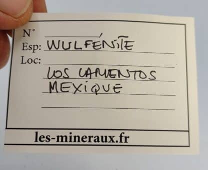 Wulfénite, Los Lamentos, Chihuhua, Mexique.