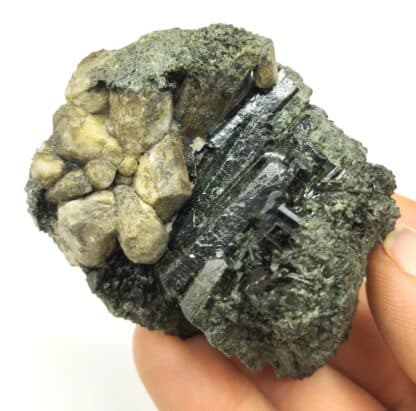 Diopside et Scapolite, Diana, Lewis, New-York, États-Unis (USA).