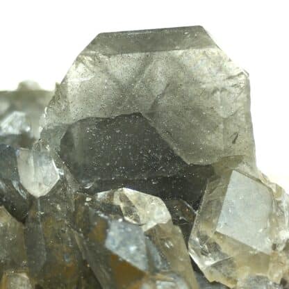 Baryte inclusions de Pyrite, Lompret, Chimay, Belgique.