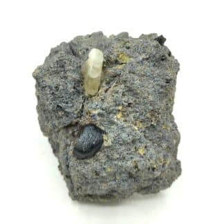 Labradorite et Barkevikite, Le Monastier-sur-Gazeille, Haute-Loire.