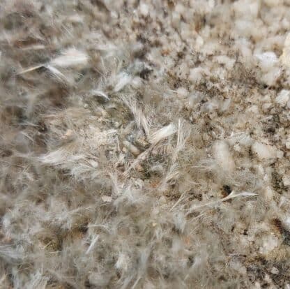 Byssolite et Adulaire, vallée de Maderanerthal, Suisse.