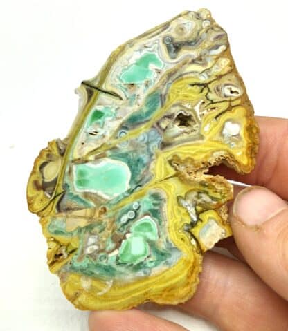 Variscite et Wardite, Clay Canyon, Fairfield, Utah, USA (États-Unis).