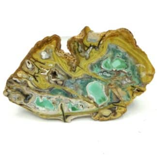 Tranche polie (sur ses deux faces) de variscite (verte) et wardite (jaune) en provenance de Clay Canyon dans l’Utah aux États-Unis (USA).

La variscite se présente en nodules sur ce gisement et est entourée de wardite, un phosphate de sodium et aluminium. Les nodules sont découpés en tranches qui sont ensuite polies.

Clay Canyon est la localité type de la wardite.

Spécimen issu des collections E.D. Over et Arthur Montgomery.