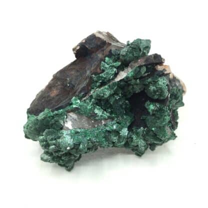 Cristaux de Malachite sur Quartz, Taroudant, Maroc.