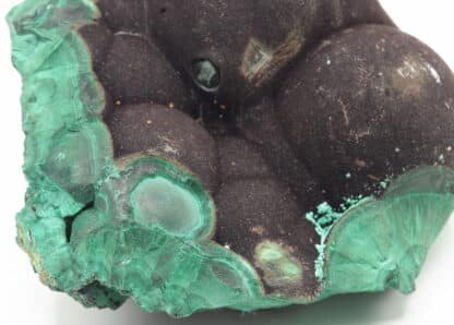 Malachite stalactiforme, Nijne Tagilsk, Oural, Russie.