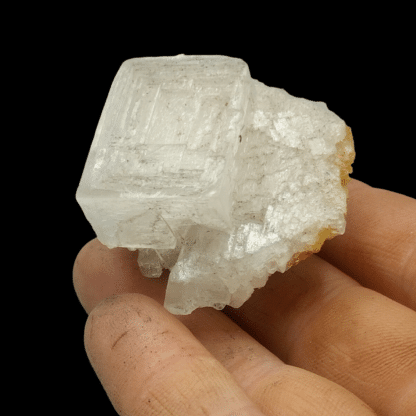 Sel Gemme (Halite), Stassfurt, Allemagne.