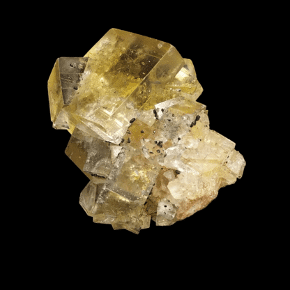 Fluorite et Pyrite, Devonshire, Angleterre, Royaume-Uni.