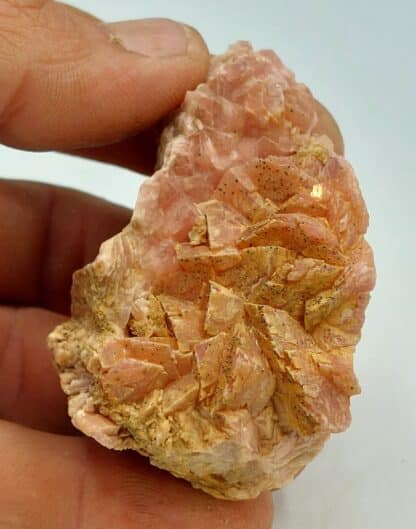 Rhodochrosite, Butte, Montana, USA.