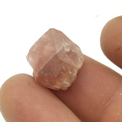 Fluorite (Fluorine) rose, Massif du Mont Blanc, Haute-Savoie.