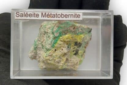 Saléeite et Métatorbernite, Kamoto Est, Kolwezi, Katanga, Congo (RDC).