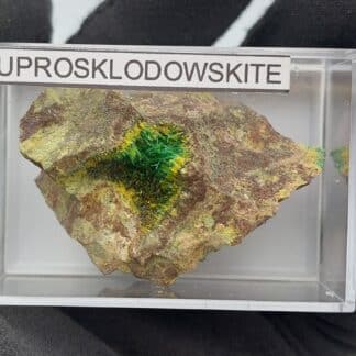 Cuprosklodowskite et Uranophane, Musonoi, Kolwezi, Katanga, Congo (RDC).