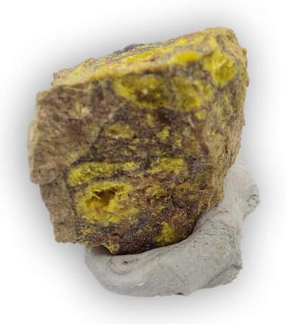 Studtite et Uranophane, Musonoi, Kolwezi, Katanga, Congo (RDC).