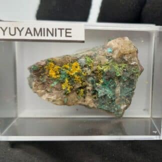 Tyuyamunite et Malachite, Mashamba West, Kolwezi, Katanga, Congo (RDC).