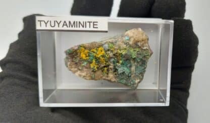 Tyuyamunite et Malachite, Mashamba West, Kolwezi, Katanga, Congo (RDC).