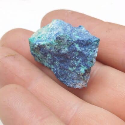 Shattuckite, USA (États-Unis).