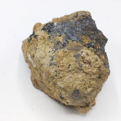 Hornblende, Cassel (Kassel), Hesse, Allemagne.