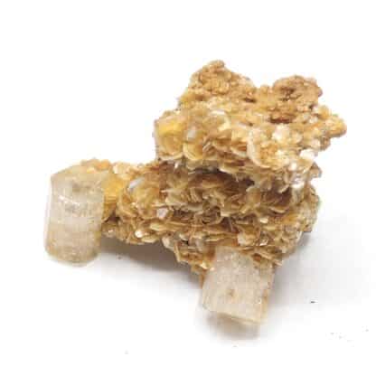 Fluorapatite sur Muscovite, Panasqueira, Portugal.