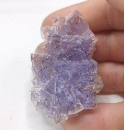 Fluorite (Fluorine), Berbès, Asturies, Espagne.