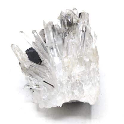 Hubnérite et Quartz, Pasto Bueno, Pérou