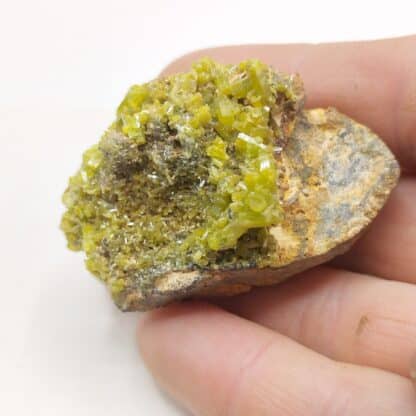 Pyromorphite, Steinbach, Haut-Rhin, Alsace.