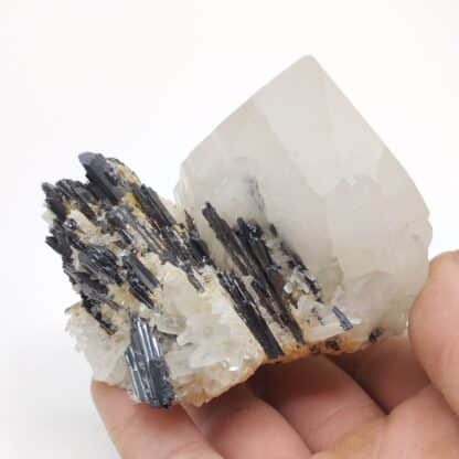 Hübnerite & Quartz, Mondo Nuevo, Pérou.