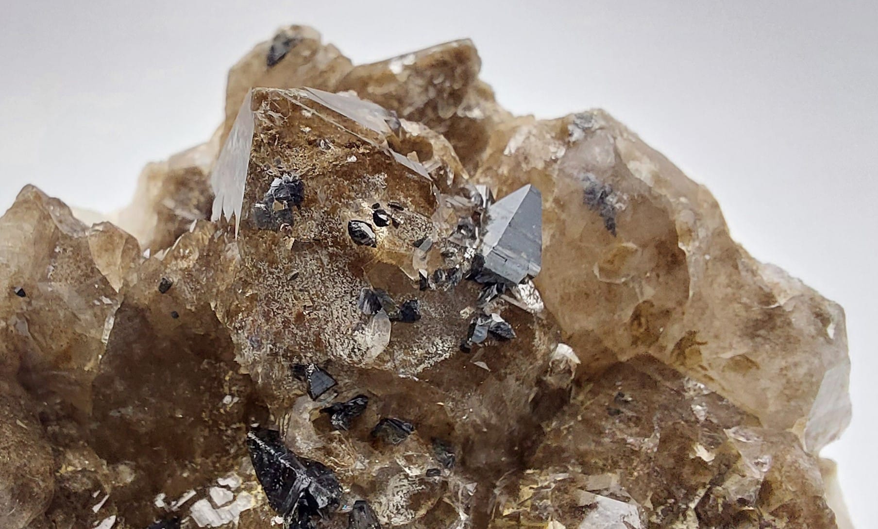 Anatase et Quartz, Manderanertal, Uri, Suisse.