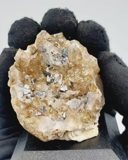 Anatase et Quartz, Manderanertal, Uri, Suisse.