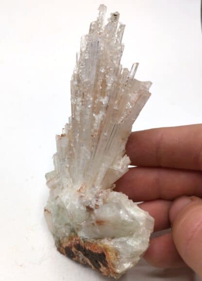 Apophyllite sur Natrolite, Brésil.