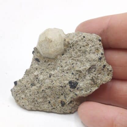 Leucite, Ariccia, Rome, Italie.