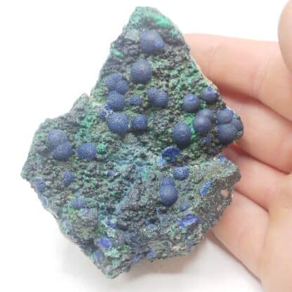 Azurite & Malachite, Morenci, Arizona, États-Unis (USA).