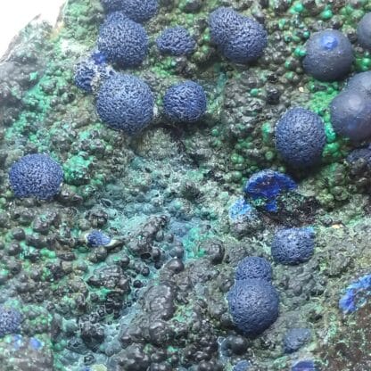 Azurite & Malachite, Morenci, Arizona, États-Unis (USA).